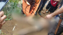 Warga Desa Baruga Ditemukan Setelah Dua Hari Pencarian di Sungai Mallaulu