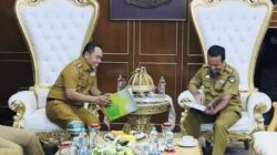 Andi Rosman : Pemda Wajo Sigap Laksanakan Petunjuk Gubernur dan Arahan Presiden Prabowo Subianto