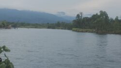 Sungai Malili Kembali Jernih, Nelayan Harapkan Solusi Berkelanjutan dan Keseimbangan Lingkungan