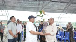 Tinjau Pembibitan, Bupati Luwu Targetkan Kejayaan Kakao Kembali