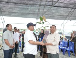 Tinjau Pembibitan, Bupati Luwu Targetkan Kejayaan Kakao Kembali