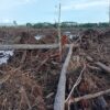 Program Cetak Sawah di Lutim Dicap Gagal Total Oleh Masyarakat Tole