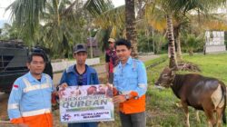 Jelang Idul Adha PT CLM Serahkan 7 Ekor Sapi Qurban