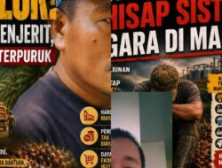 Anjloknya Harga Kelapa Sawit, Wakil Ketua DPRD Luwu Utara Soroti Peran BUMN dan Desak Pemerintah Berpihak pada Petani