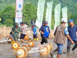 Tanam Padi Bersama Petani, Bupati Luwu Canangkan IP 300