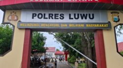 Aktivitas Penambangan Emas Ilegal di Luwu Diduga Marak, Polres Bakal Usut Tanpa Toleransi 