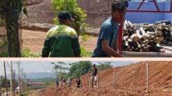 PT Cetara Bangun Persada Laksanakan Reklamasi Pasca-tambang, Bukti Tanggung Jawab Terhadap Lingkungan