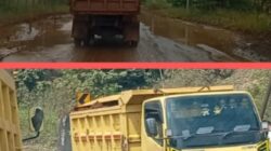 Truk Nikel PT GMU Lewati Jalan Nasional Lalampu-Siumbatu, Pengendara Keluhkan Keamanan 