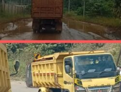 Truk Nikel PT GMU Lewati Jalan Nasional Lalampu-Siumbatu, Pengendara Keluhkan Keamanan 