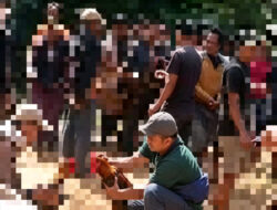 Kapolres Baru Sertijab, Judi Sabung Ayam Tetap Marak di Toraja Utara