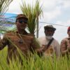 Bupati Luwu Utara: Pertanian Adalah Identitas Luwu Utara, Pemda Siap Support Penuh Petani