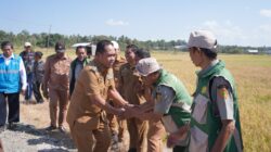Dukung Swasembada Pangan, Bupati dan Anggota DPRD Wajo Panen Perdana di Desa Mario
