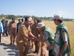 Dukung Swasembada Pangan, Bupati dan Anggota DPRD Wajo Panen Perdana di Desa Mario