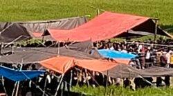 Judi Sabung Ayam Berlangsung Ramai Hari Ini di Tongkonan Buka Buntao Toraja Utara