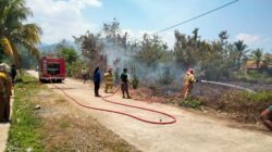 Kebakaran Lahan di Pemukiman Tarabbi Picu Kepanikan, Siswa dan Guru Turun Tangan Padamkan Api