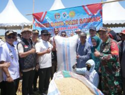 Meskipun Kemarau, Bupati Wajo Akan Upayakan Lahan Pertanian Tetap Dapat Pasokan Air