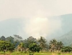 Dua Pekan Terbakar, Puluhan Hektare Hutan Tarabbi Sulit Dipadamkan