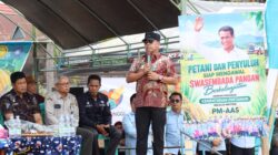 Bupati Wajo Ajak Petani Jaga Semangat Gotong Royong serta Tingkatkan Produktivitas dan Kualitas Pertanian