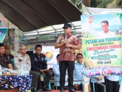 Bupati Wajo Ajak Petani Jaga Semangat Gotong Royong serta Tingkatkan Produktivitas dan Kualitas Pertanian