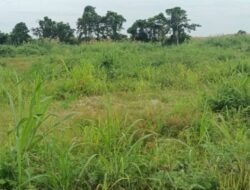 Kejari Luwu Utara Selidiki Dugaan Penyimpangan Program Cetak Sawah Rakyat 2025, 1.000 Ha Mangkrak