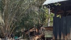 Pasca Kebakaran, Keluarga Luter Obet Mulai Benahi Rumah