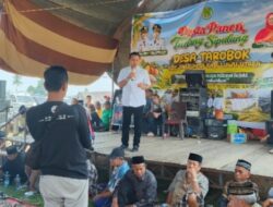 Pesan Bupati di Pesta Panen Tarobok: Jadikan Perbedaan Sebagai Kekuatan Membangun Luwu Utara