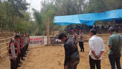 Polres Toraja Utara Kerahkan Puluhan Personel Amankan Kegiatan Tradisi Adat Adu Kerbau